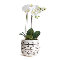 Design Shop Millie Hand-Painted Pot Small
