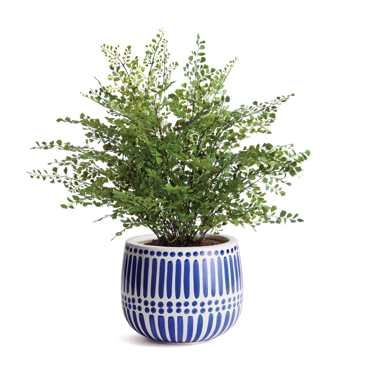 Design Shop Cali Hand-Painted Pot Small