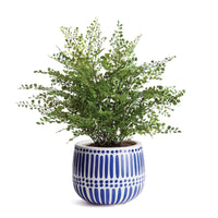 Design Shop Cali Hand-Painted Pot Small