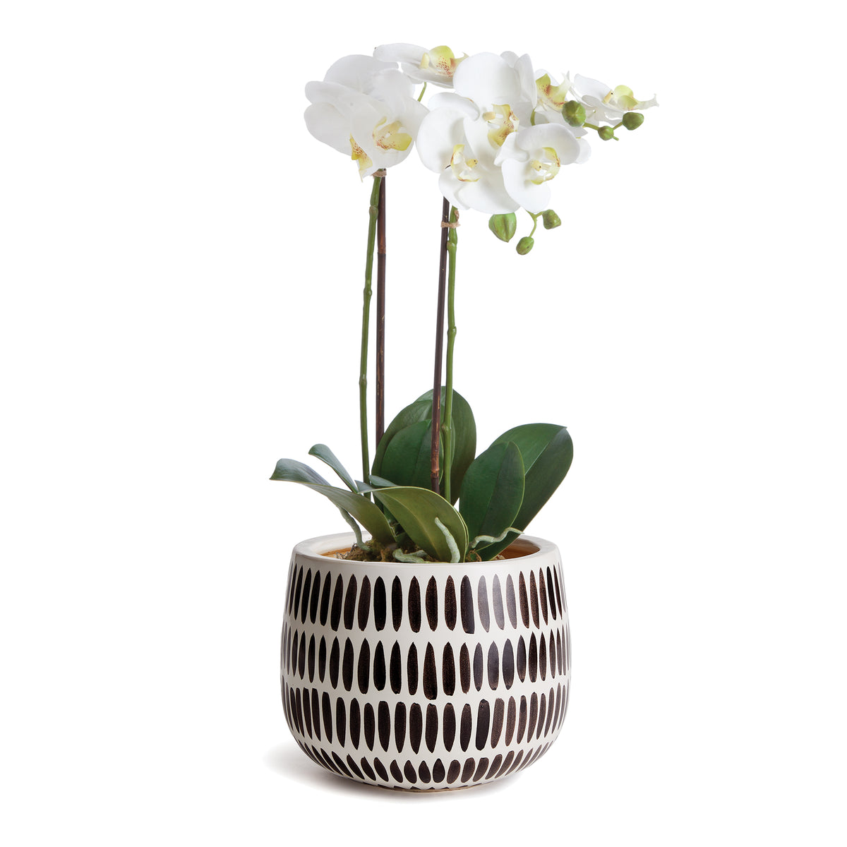 Design Shop Uma Hand-Painted Pot Small