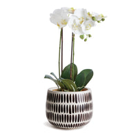 Design Shop Uma Hand-Painted Pot Small