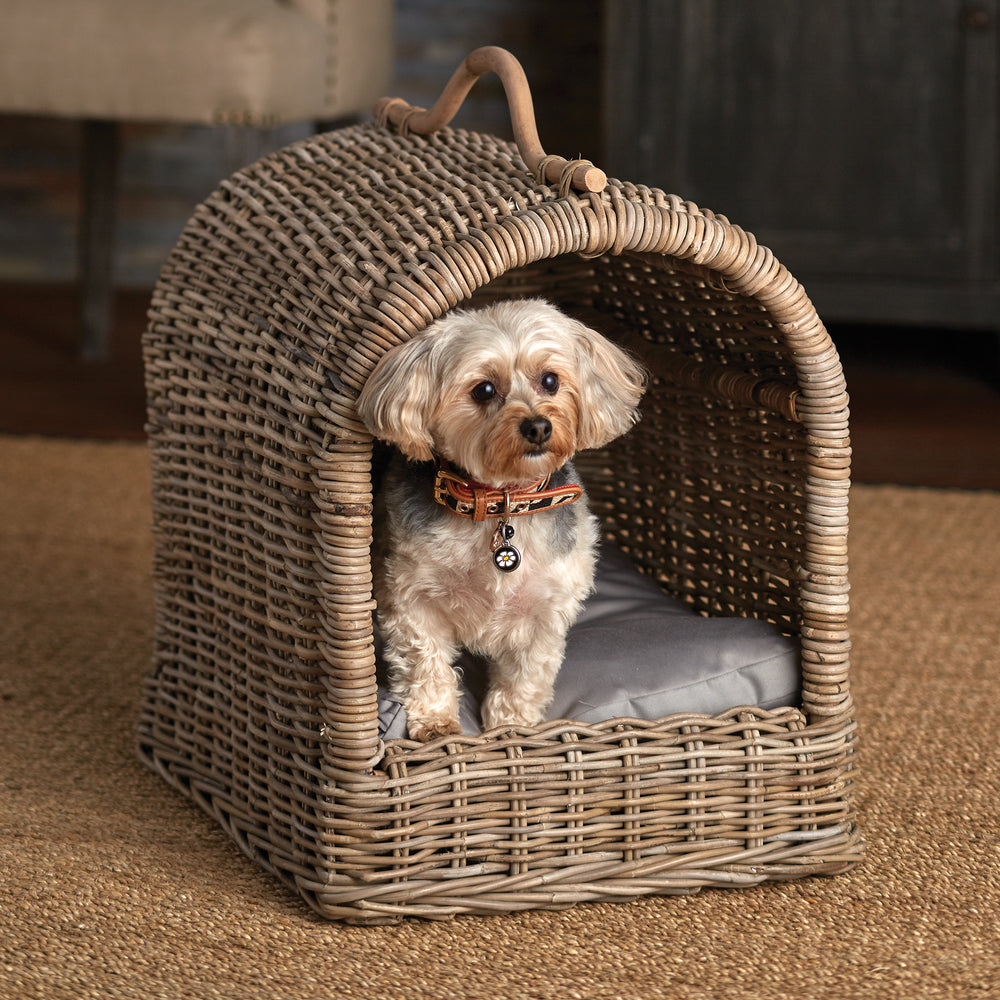 Luxury Dog Beds & Designer Pet Accessories | Shell Design Shop – Design ...