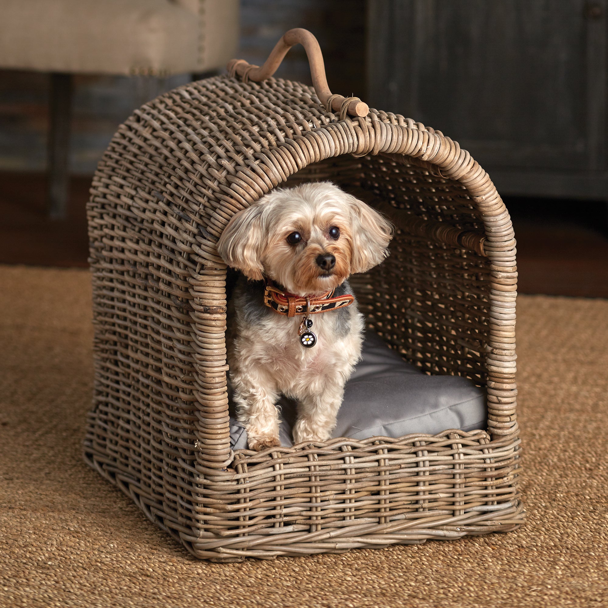 Design Shop Normandy Canopy Pet Bed