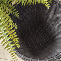 Design Shop Alvero Baskets, Set Of 2