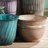 Design Shop Camelia Pots, Set Of 3