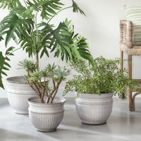 Design Shop Camelia Pots, Set Of 3