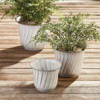 Design Shop Leilani Pots, Set Of 3
