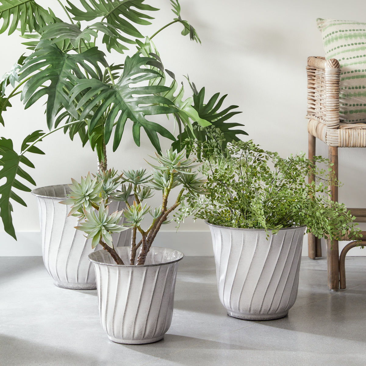 Design Shop Leilani Pots, Set Of 3