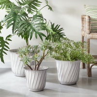 Design Shop Leilani Pots, Set Of 3
