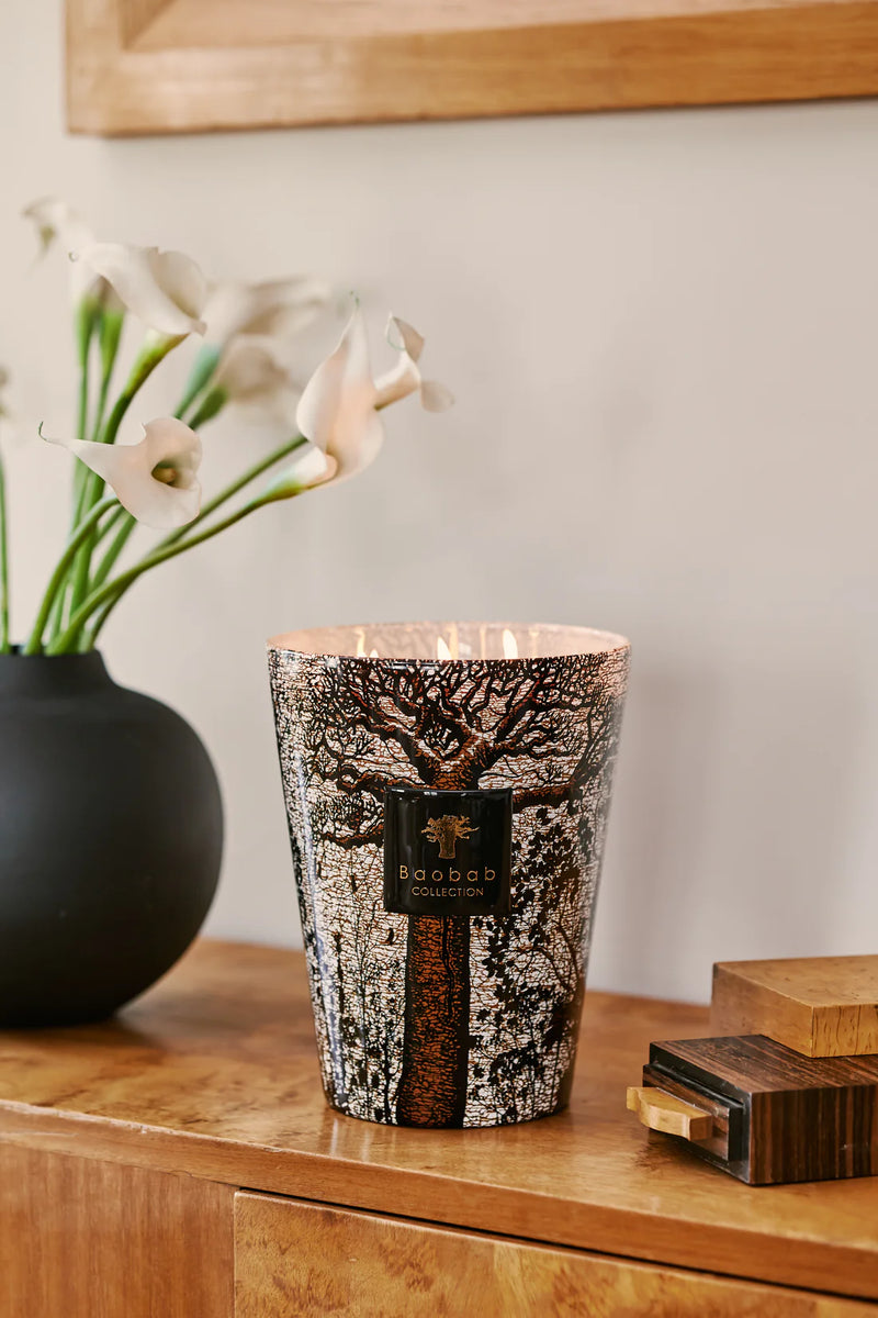 Baobab Candle Sacred Trees Morondo - Optional Sizing