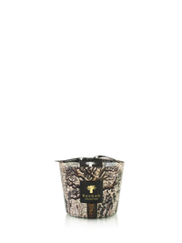 Baobab Candle Sacred Trees Morondo - Optional Sizing