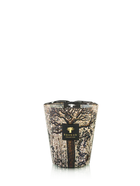 Baobab Candle Sacred Trees Morondo - Optional Sizing
