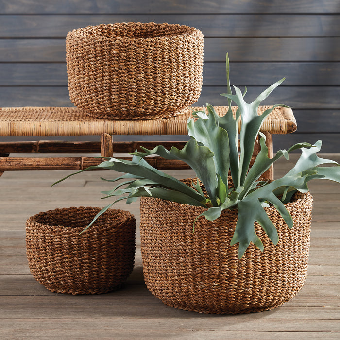 Three seagrass cylindrical baskets in natural brown tones, one holds a green succulent, set on a wooden surface with a woven