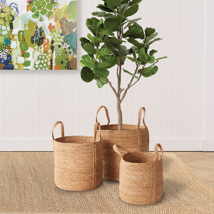 Set of three seagrass round baskets with long handles in natural straw color, a plant inside one, neutral background.