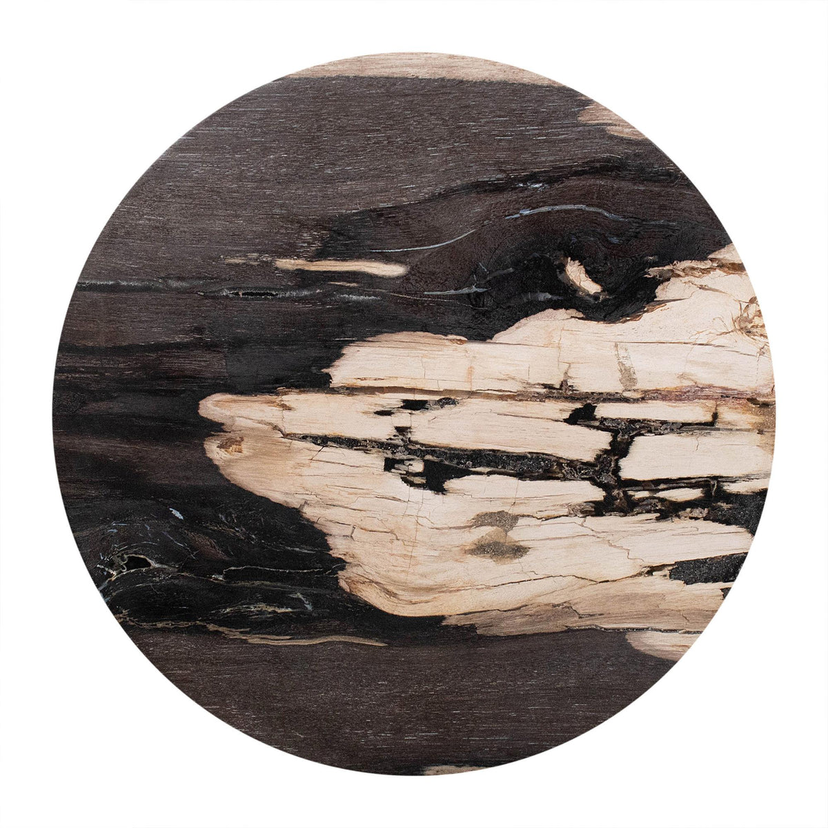 Design Shop Petrified Wood Top Organic Oval Accent Table, 12"W, Black