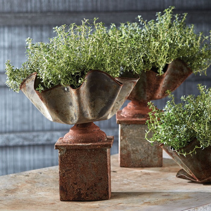 Design Shop Galvanized Handkerchief Planter