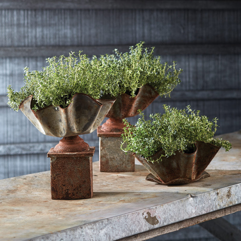 Design Shop Galvanized Handkerchief Planter