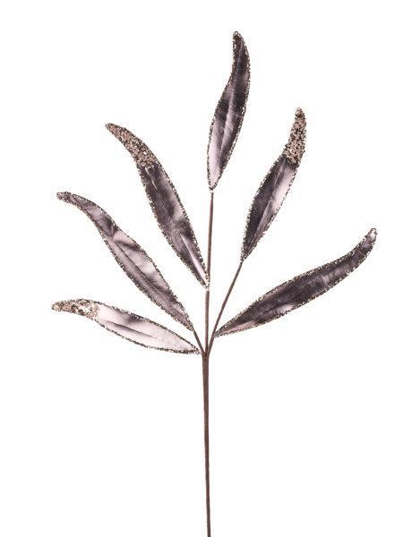 Decorative leaf branch with a white background