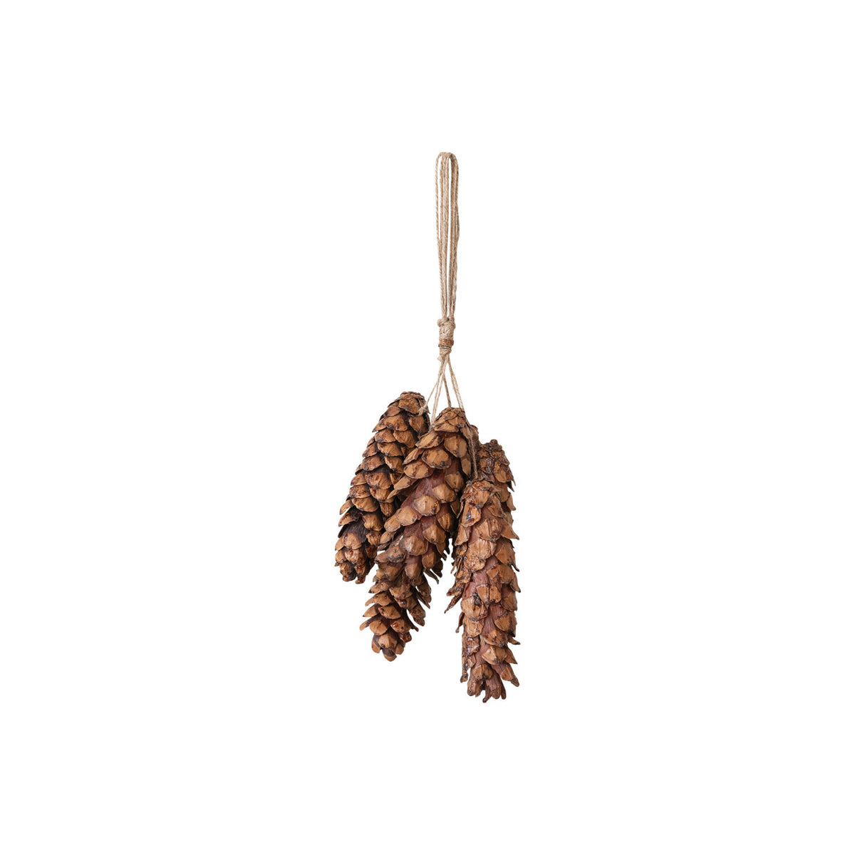 Three pine cones hanging from a string on a white background