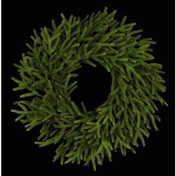 Design Shop 24"Dia Norfolk Island Pine Wreath