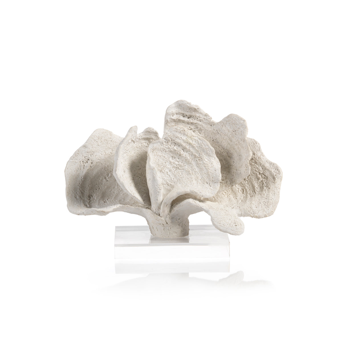 Zodax 7-Inch Tall Kai Coral Sculpture on Acrylic Base, White