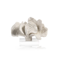 Zodax 7-Inch Tall Kai Coral Sculpture on Acrylic Base, White