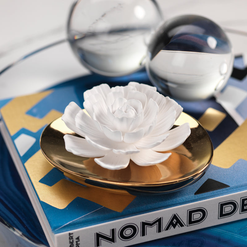 Zodax Dream Porcelain Flower Diffuser- White Rose