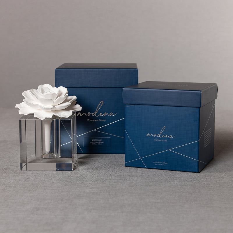 Zodax Modena Large Diffuser Gift Set, White Rose