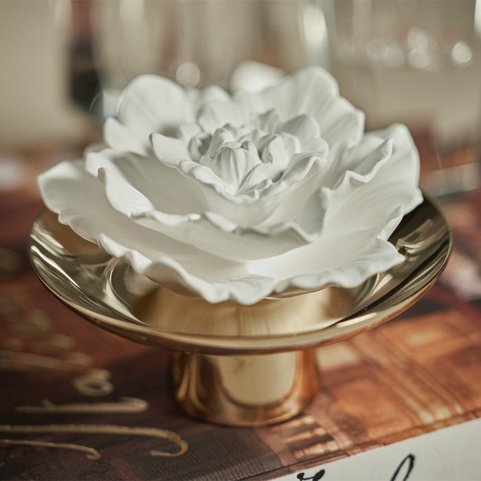 Zodax Passion Porcelain Diffuser, Fig Vetiver