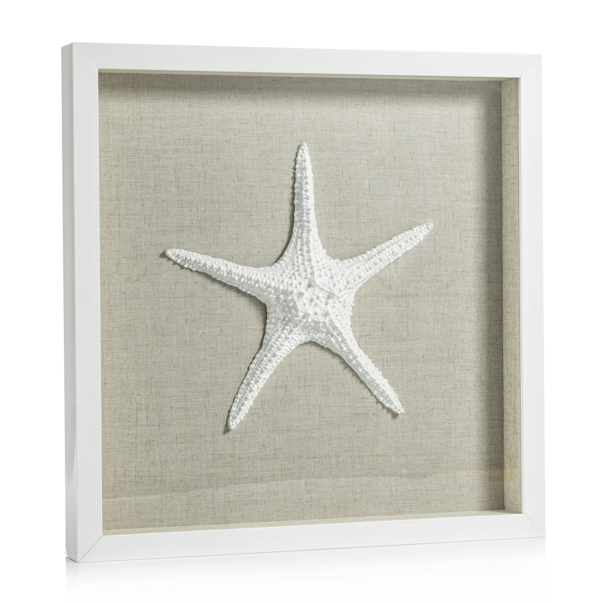 Zodax Aran White Framed Starfish Wall Décor
