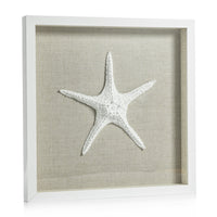 Zodax Aran White Framed Starfish Wall Décor