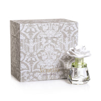 Zodax Venezia Porcelain Diffuser, “Isabella”- Aquatic Notes, Driftwood and Cedar
