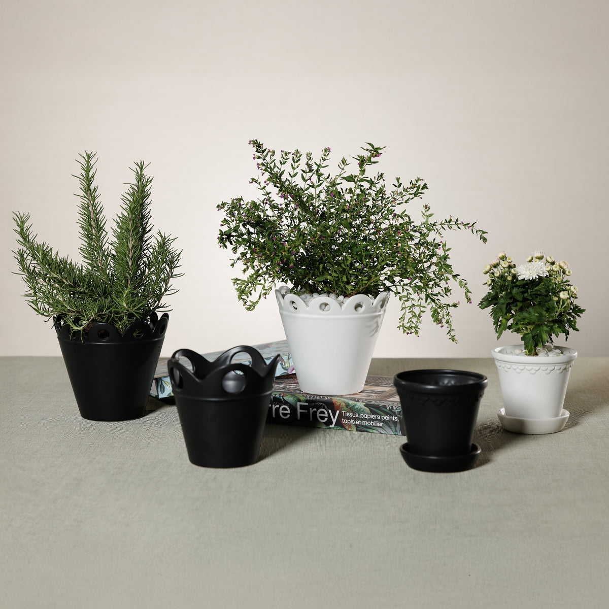 Zodax Petal Rim Black Ceramic Flower Pot, Small