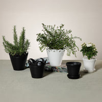 Zodax Petal Rim Black Ceramic Flower Pot, Small