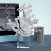 Zodax White Resin Coral Sculpture on Acrylic Base, 7.5" x 4" x 10"