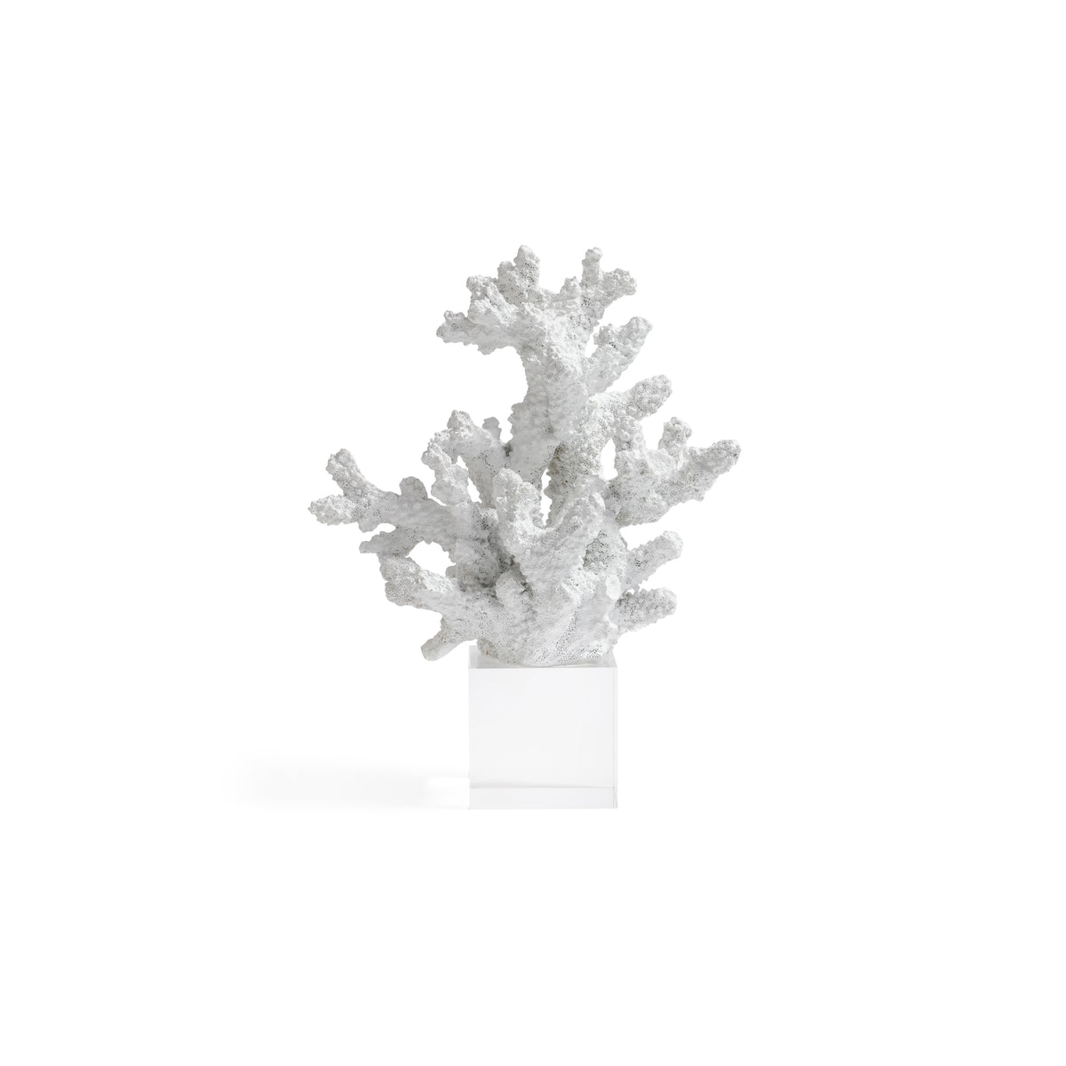 Zodax White Resin Coral Sculpture on Acrylic Base, 7.5" x 4" x 10"
