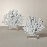 Zodax White Resin Coral Sculpture on Acrylic Base, 8.25" x 4.5" x 8.5"