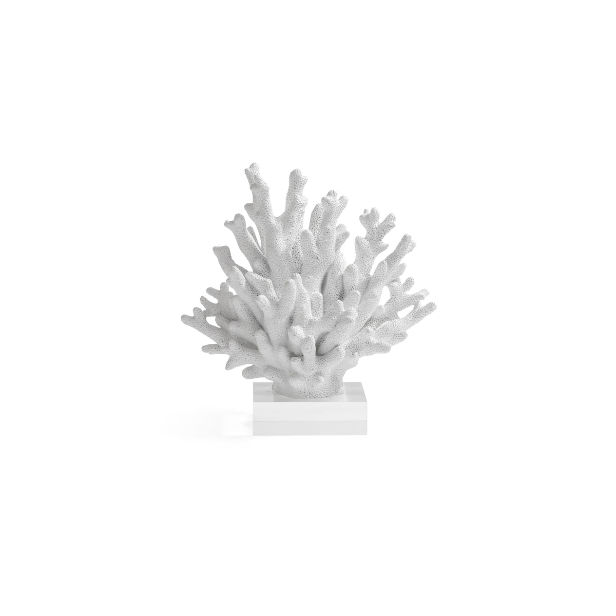 Zodax White Resin Coral Sculpture on Acrylic Base, 8.25" x 4.5" x 8.5"
