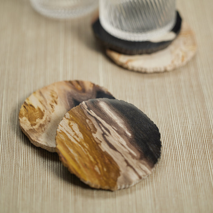 Zodax Plover 4" Petrified Wood Coasters, Set of 4