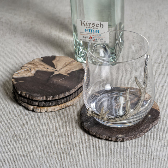 Zodax Plover 4" Petrified Wood Coasters, Set of 4
