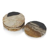 Zodax Plover 4" Petrified Wood Coasters, Set of 4
