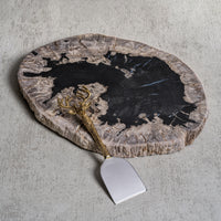 Zodax Brasilia Petrified Wood Cheese Board