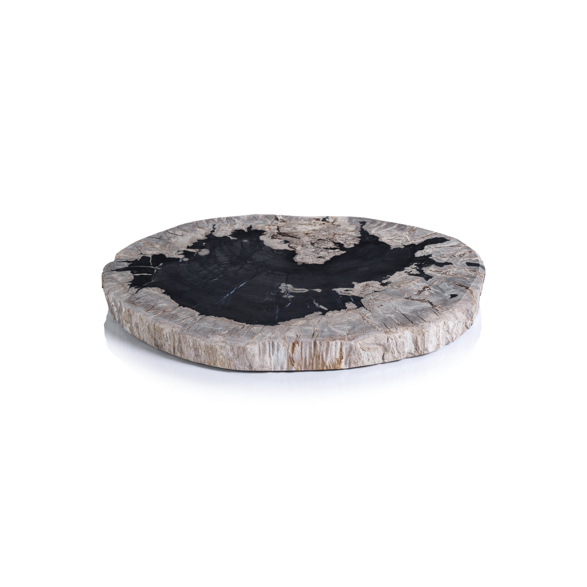 Zodax Brasilia Petrified Wood Cheese Board