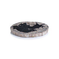 Zodax Brasilia Petrified Wood Cheese Board