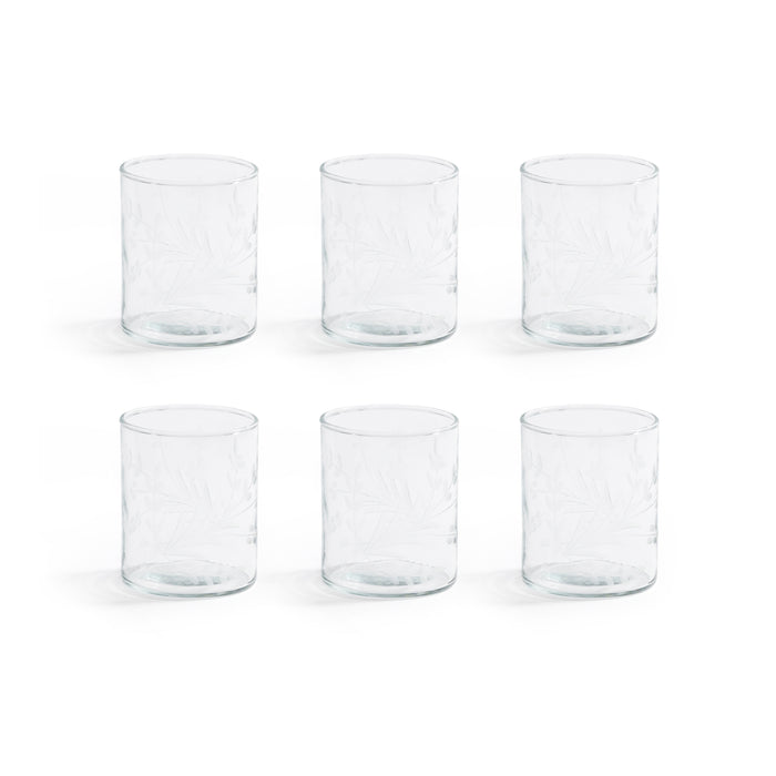 Set of six clear glass tumblers on a white background