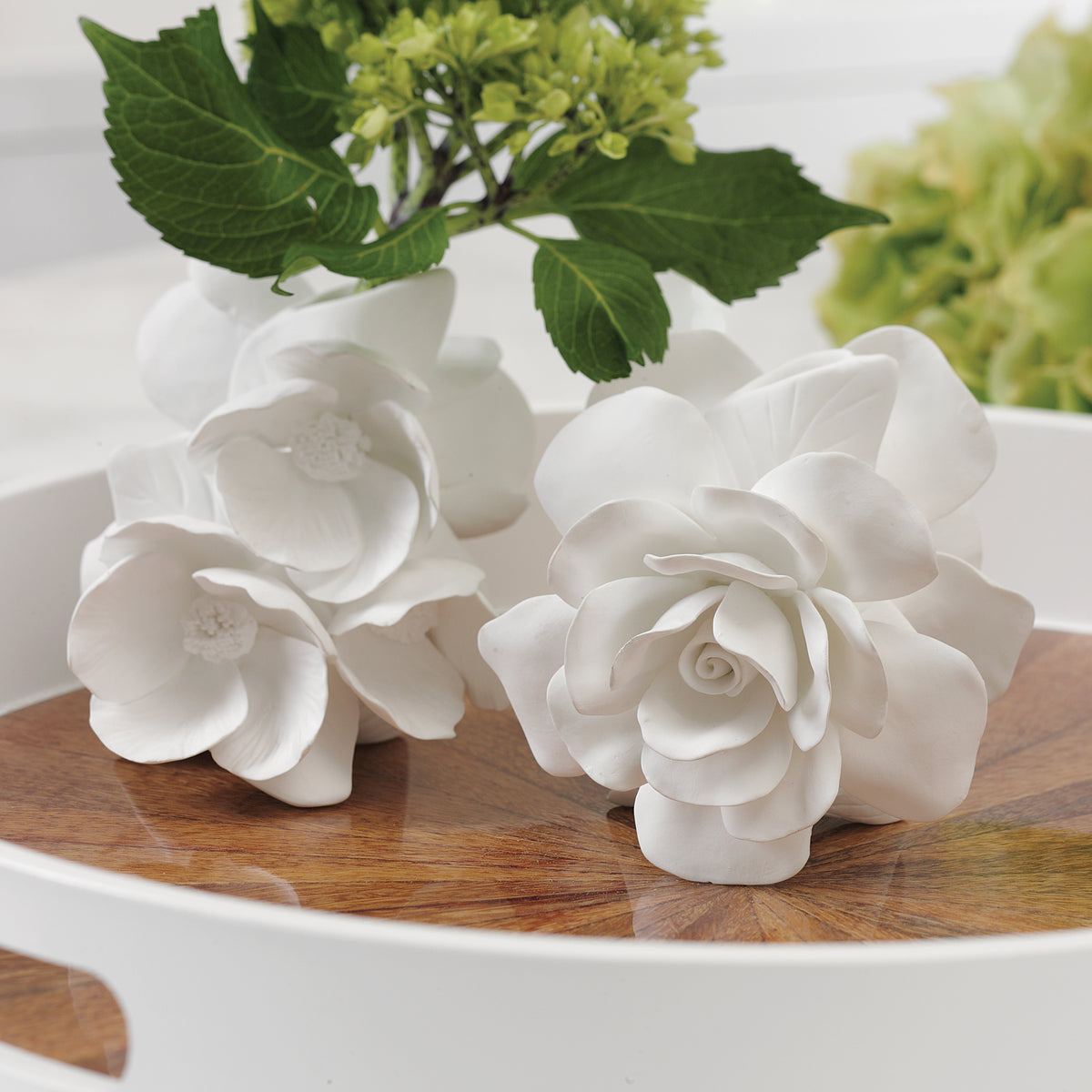 Zodax 4-Piece Cameo Porcelain Vase Set
