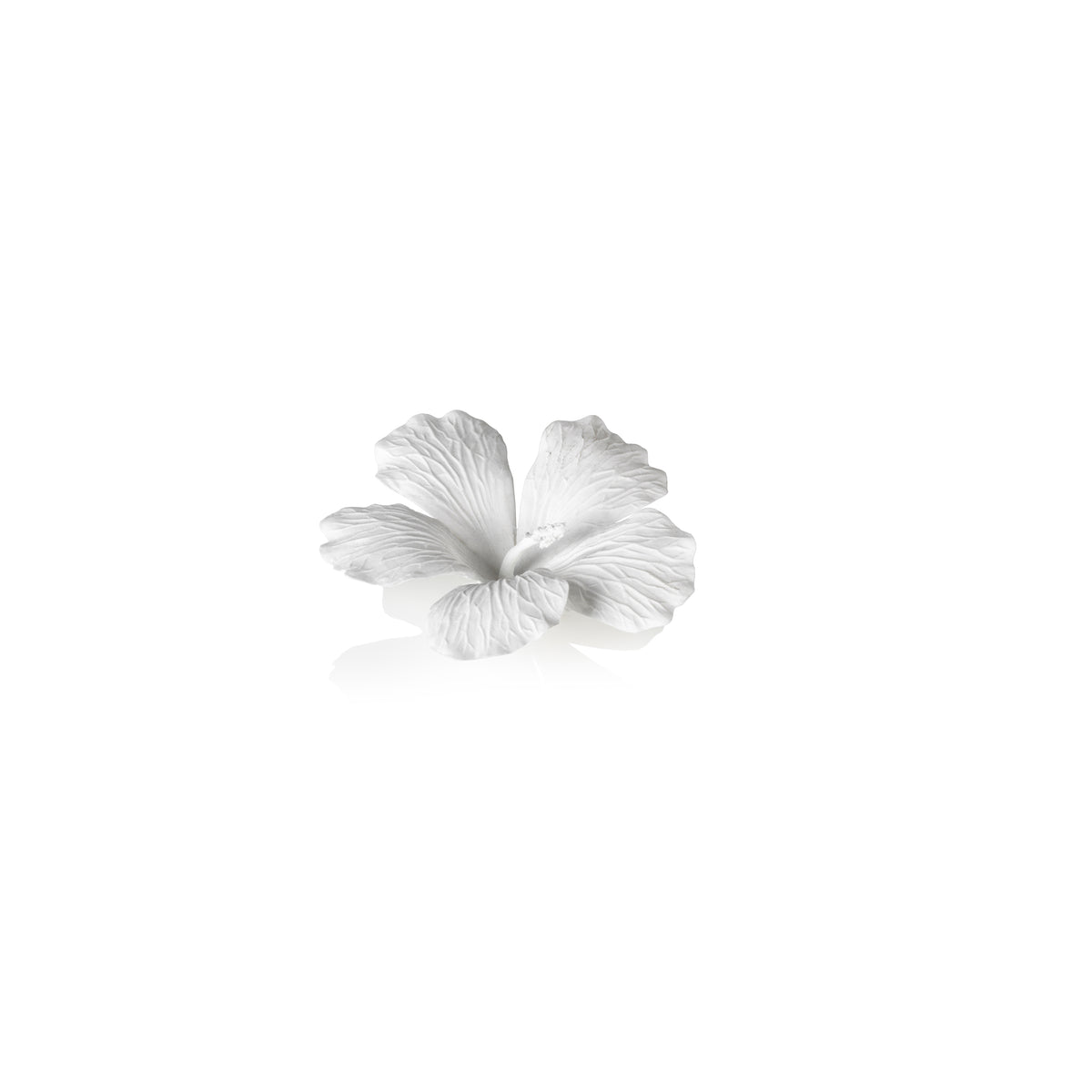 Zodax White Bone China Hibiscus Flower Wall & Table Décor, Set of 3