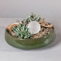Zodax Zeno Green Glazed Stoneware  Planter Bowl