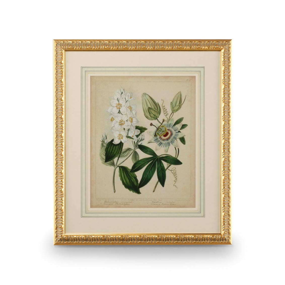 Chelsea House Cottage Florals II
