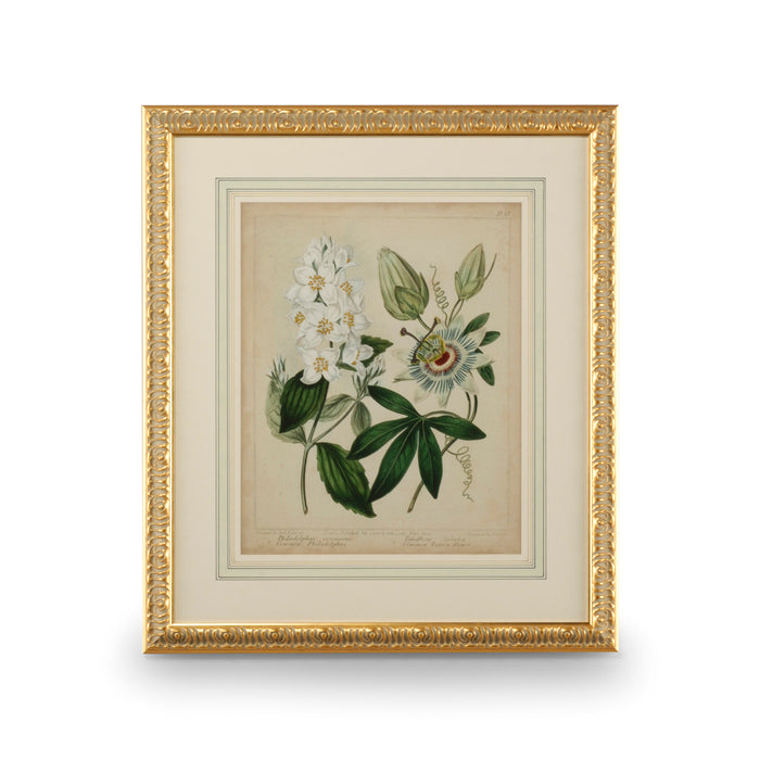 Chelsea House Cottage Florals II